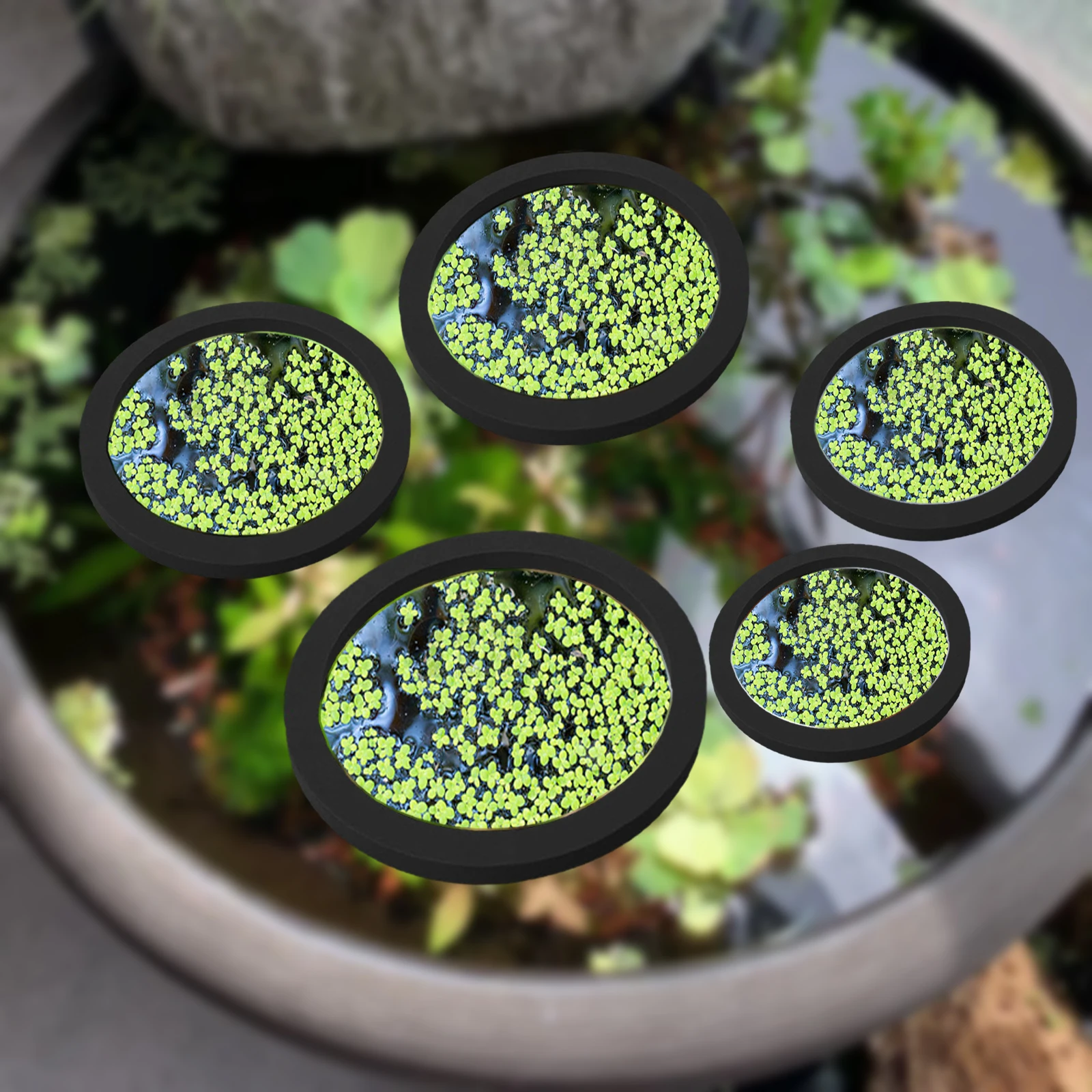 Aquarium Plants - 5 adet EVA balık besleme halkası