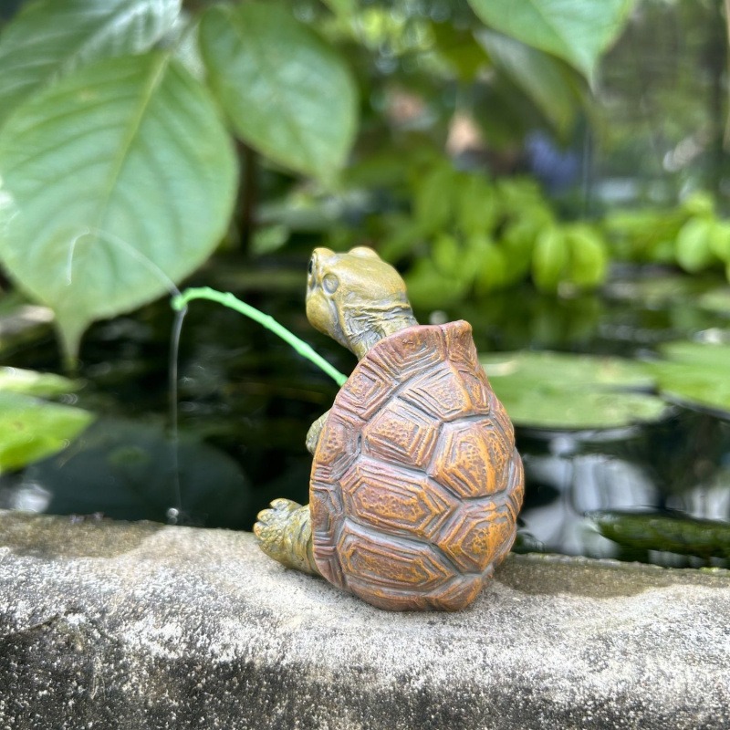 Kaplumbağa Balık Tankı Akvaryu - Fish Aquarium Home incelemesi ve fiyatı