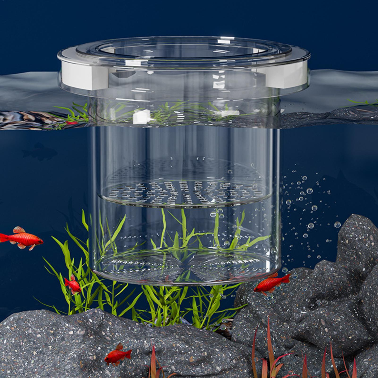 Yüzen Balık Yetiştirme İzolasy - Betta Fish Tank incelemesi ve fiyatı