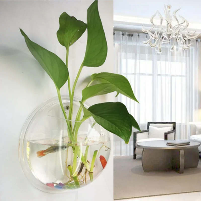 Pinsjar Akrilik Balık Kabı, Du - Betta Fish Tank incelemesi ve fiyatı