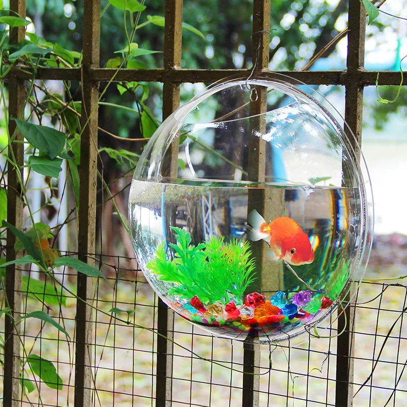 Pinsjar Akrilik Balık Kabı, Du - Betta Fish Tank incelemesi ve fiyatı