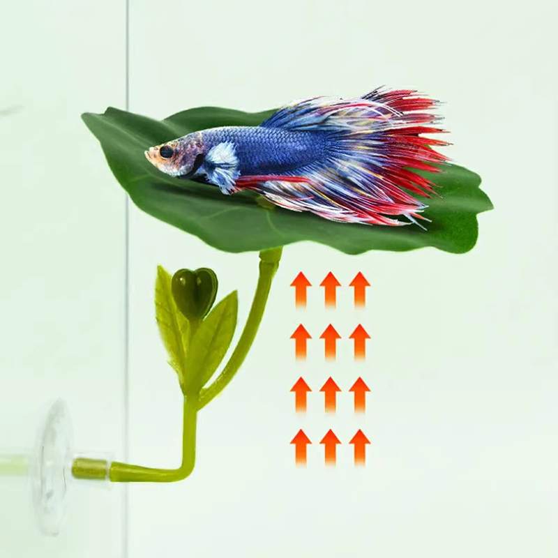 (Ce14)1/5PC Yeşil Yapraklı Ham - Betta Fish Tank incelemesi ve fiyatı
