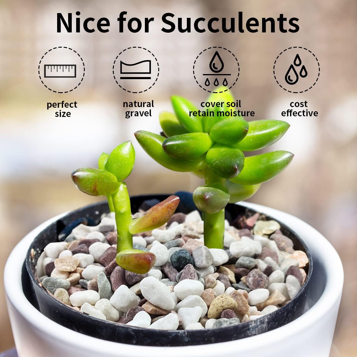 Karışık Renklerdeki Çakıl Taşl - Fish Tank Gravel incelemesi ve fiyatı
