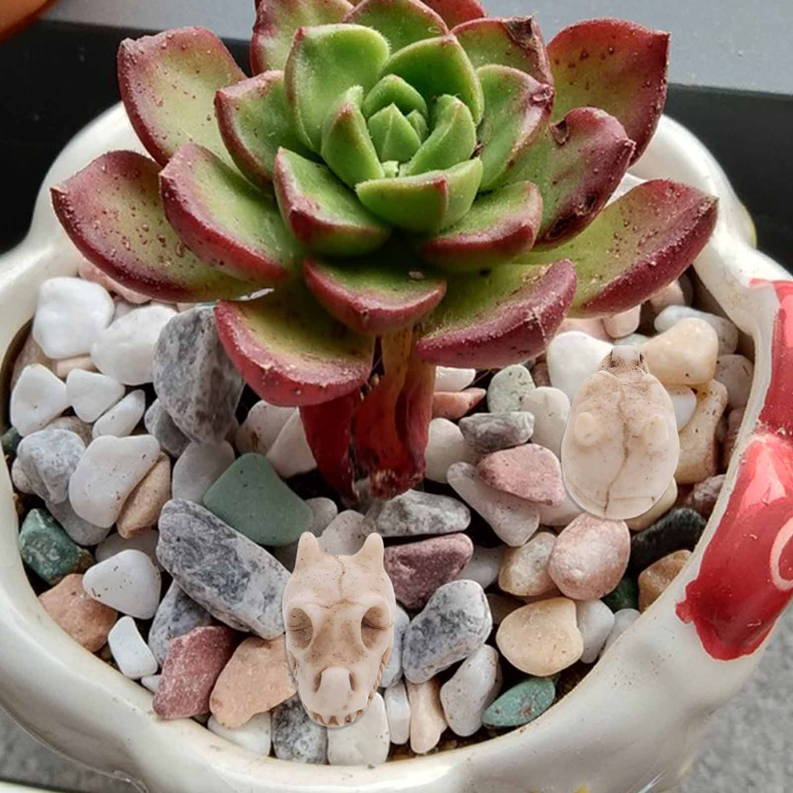 20 Adet Mini Ejderha Kafatası  - Aquarium Decor incelemesi ve fiyatı