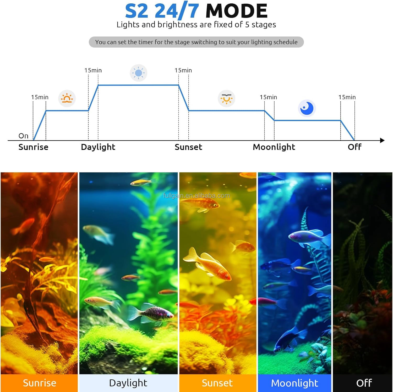 FG199 2025 Yeni Alaşımlı Yükse - Aquarium Plants incelemesi ve fiyatı