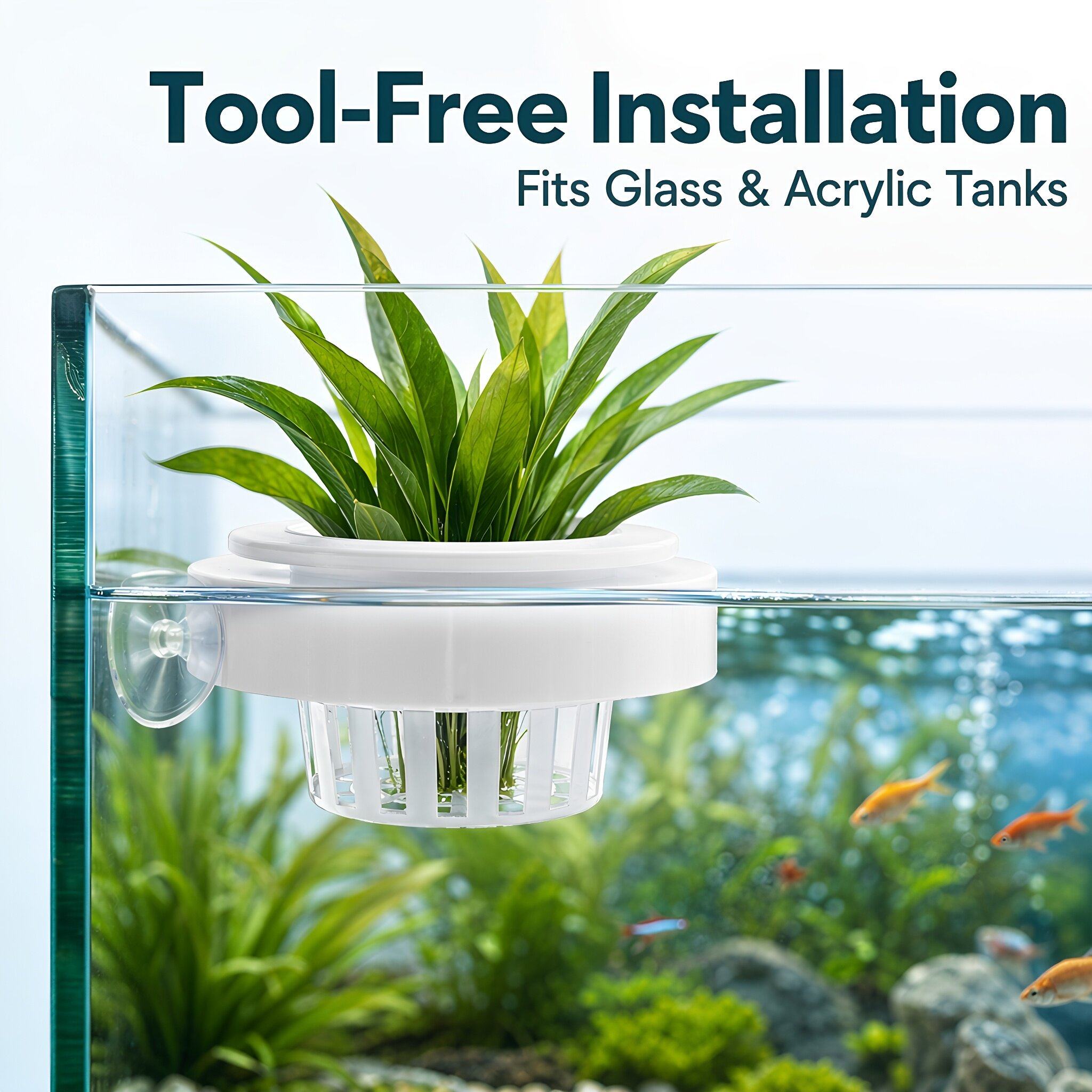 4 adet Yüzen Akvaryum Bitki Se - Aquarium Plants incelemesi ve fiyatı