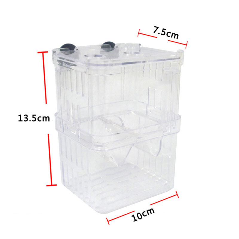 Tavuskuşu Balık Yetiştiriciliğ - Betta Fish Tank incelemesi ve fiyatı