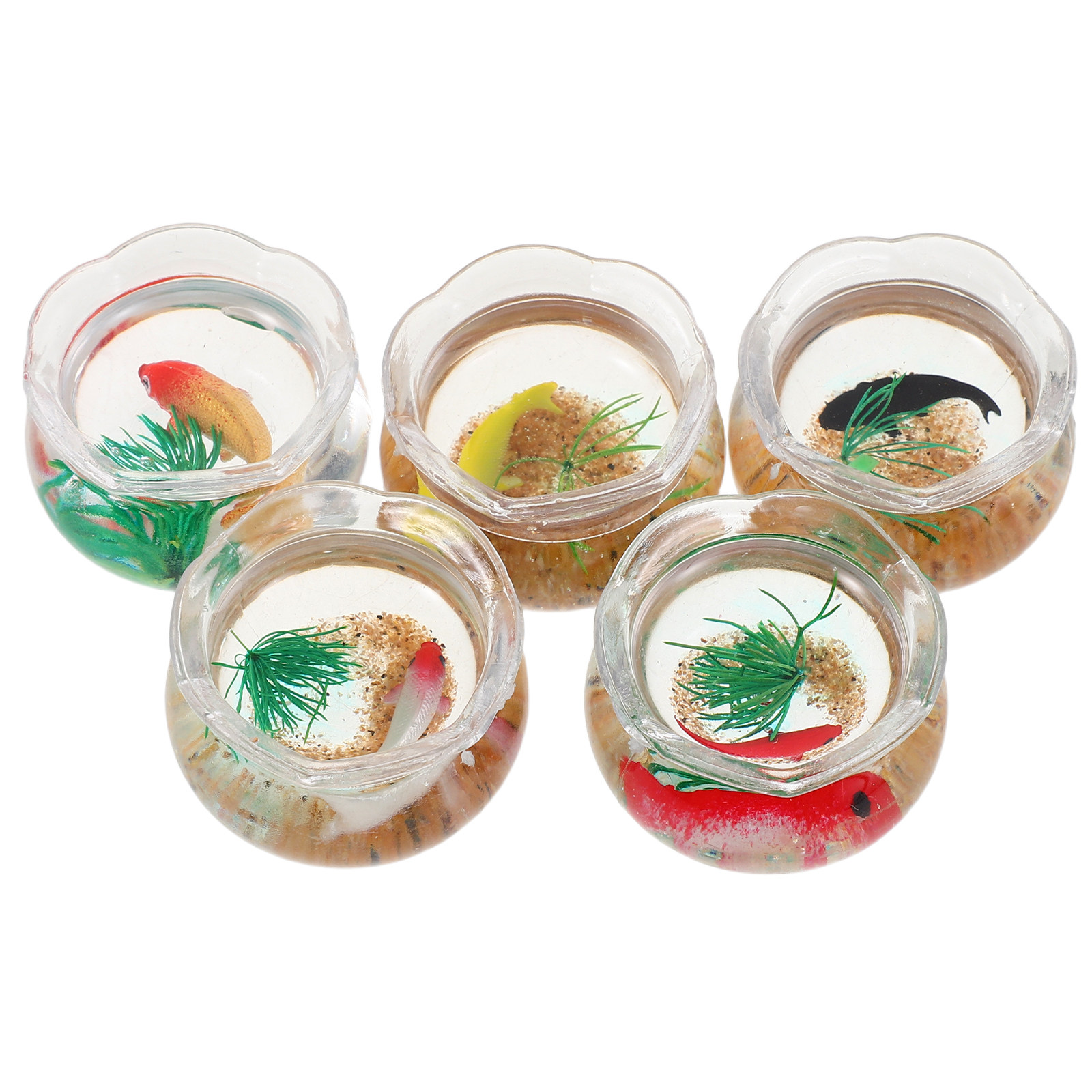 5 adet Mini Koi Balığı Akvaryu - Aquarium Plants incelemesi ve fiyatı